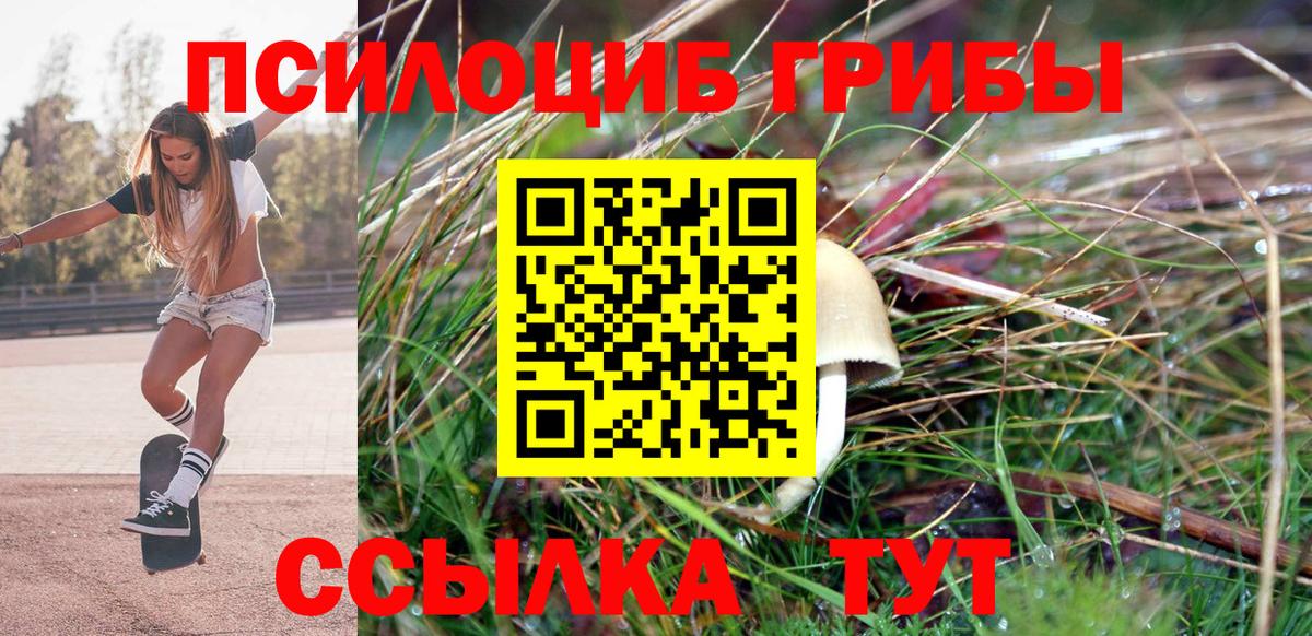 Псилоцибиновые грибы прущие грибы  Псилоцибиновые грибы Psilocybe  Ростов Великий  Вход с VPN 
